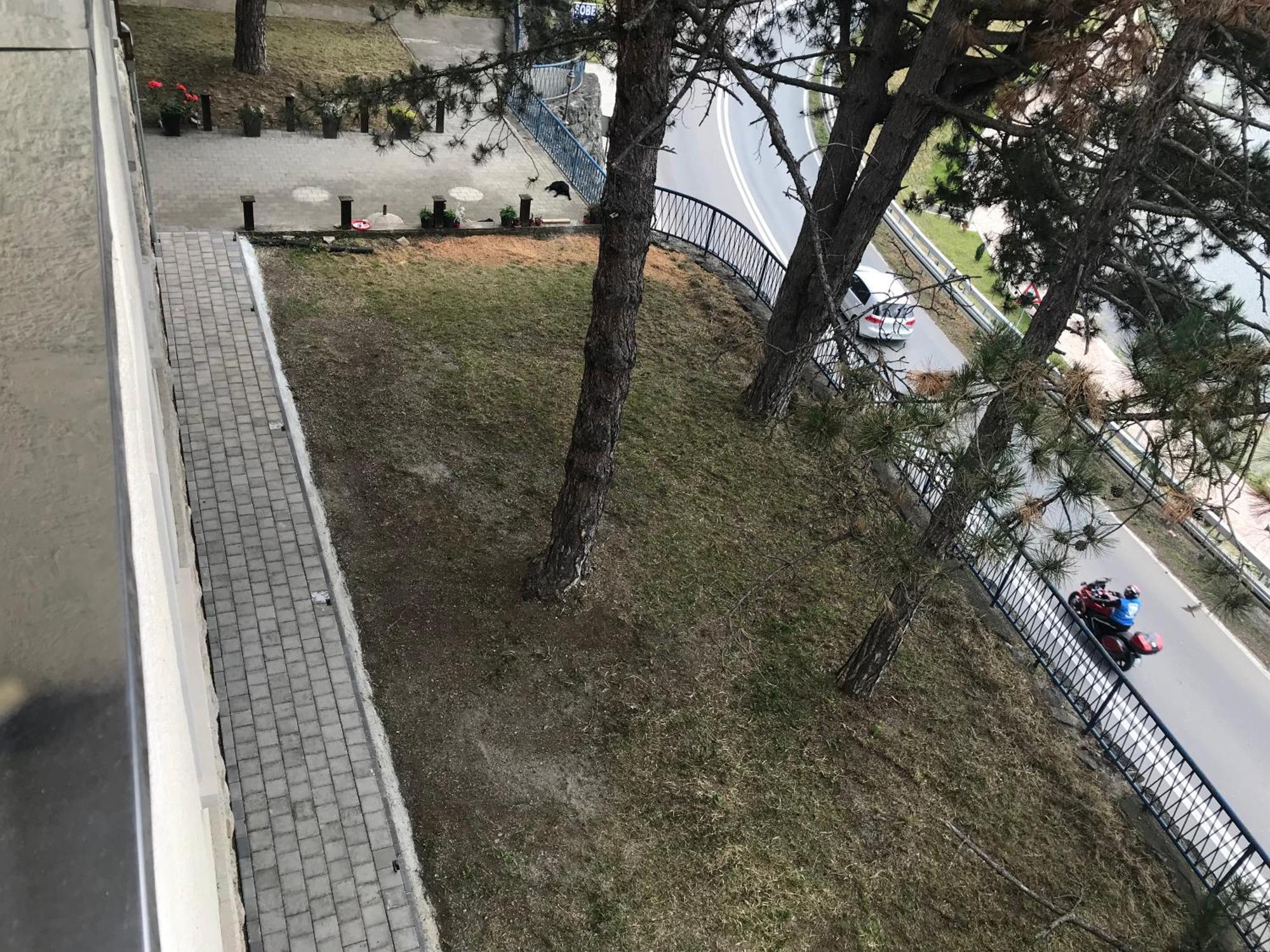 Apartament Cacak Bagian luar foto